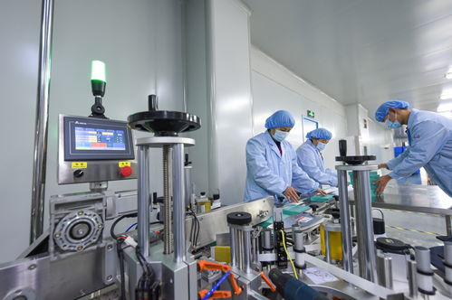 衡水新聞網(wǎng) 石家莊技術(shù)服務(wù)與技術(shù)開發(fā)新動(dòng)向探析